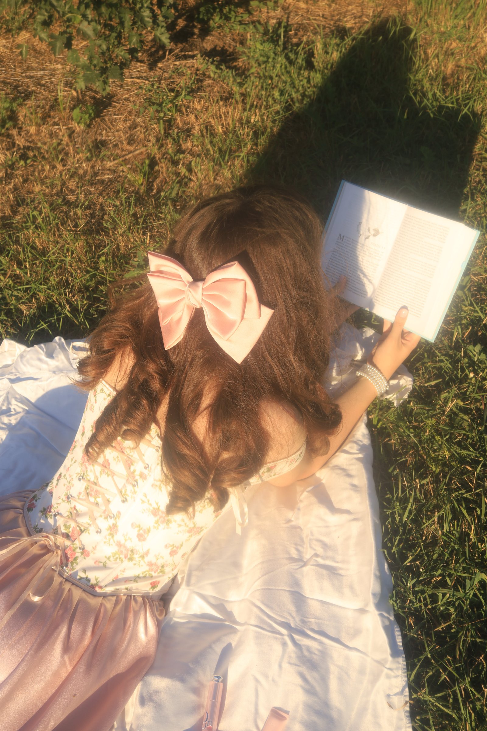 Sunlit Aesthetic Shot