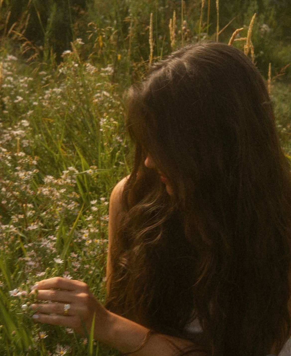 Warm Aesthetic Shot