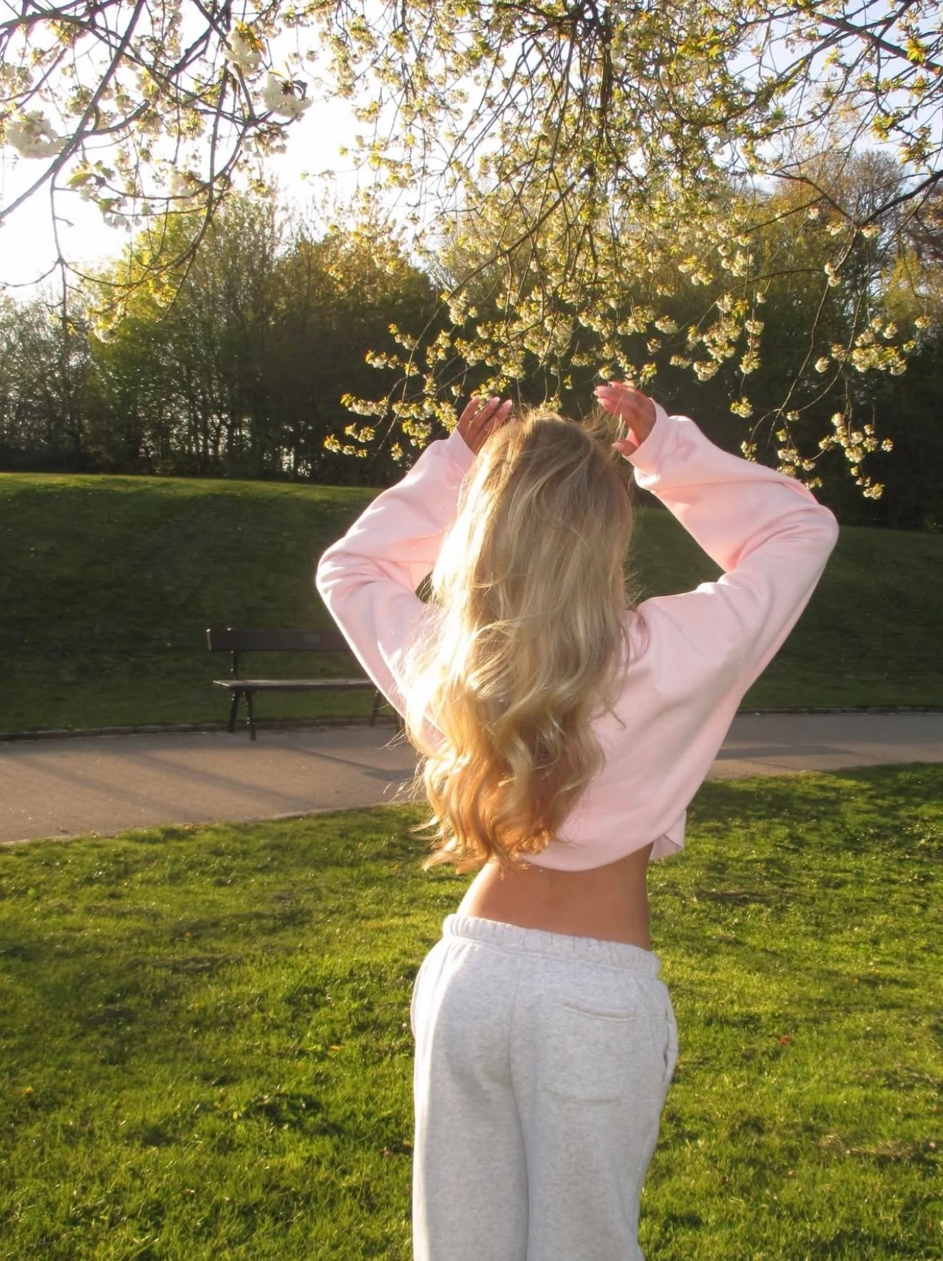 Floral Snapshot