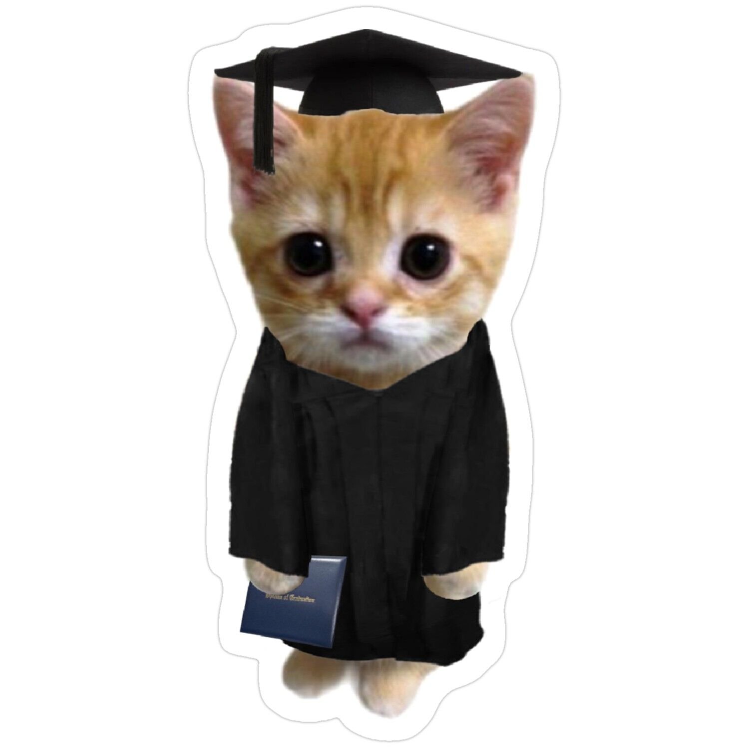 This Graduation Celebration Is Everything