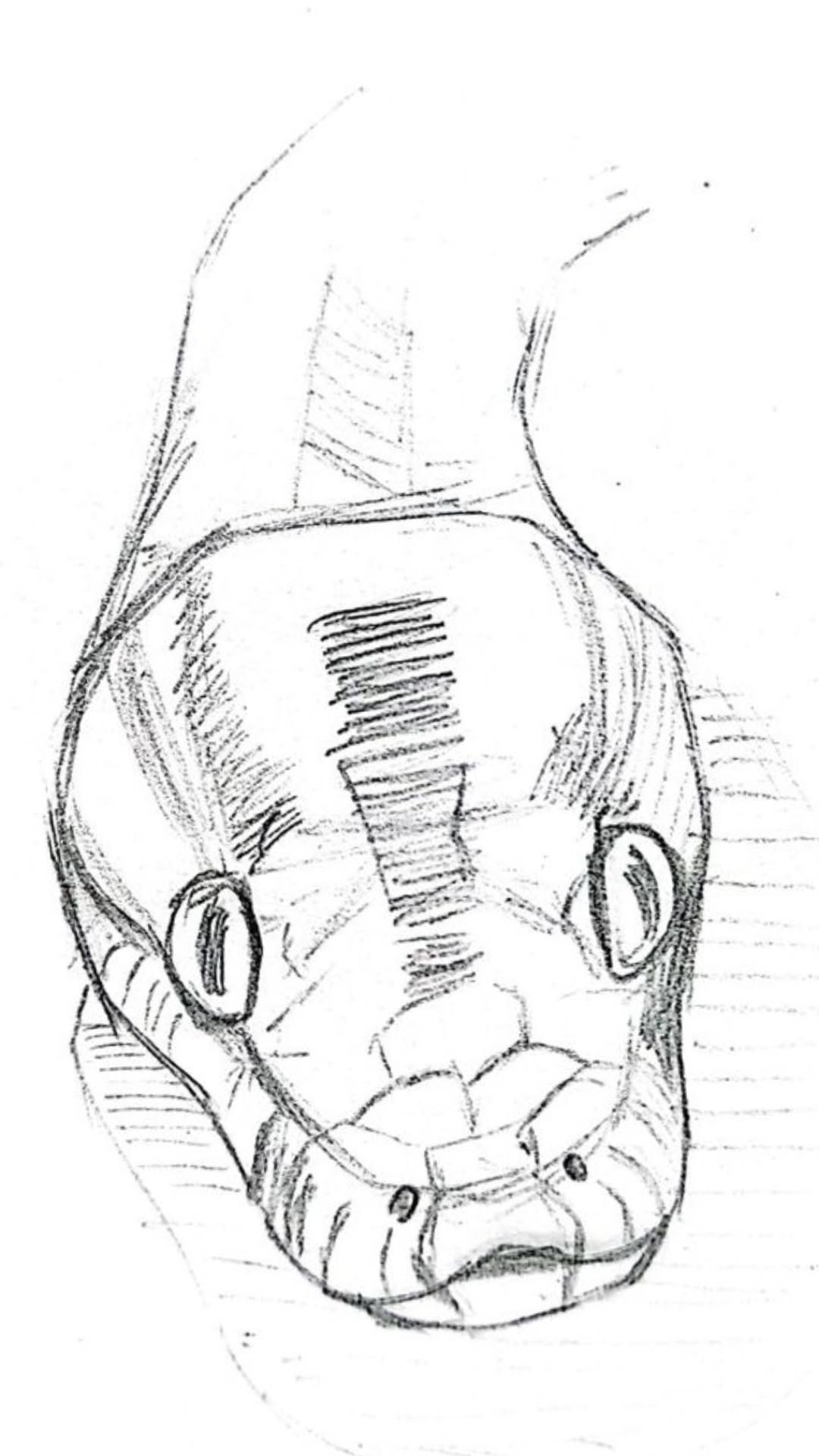 Stunning Sketch Art Design 2