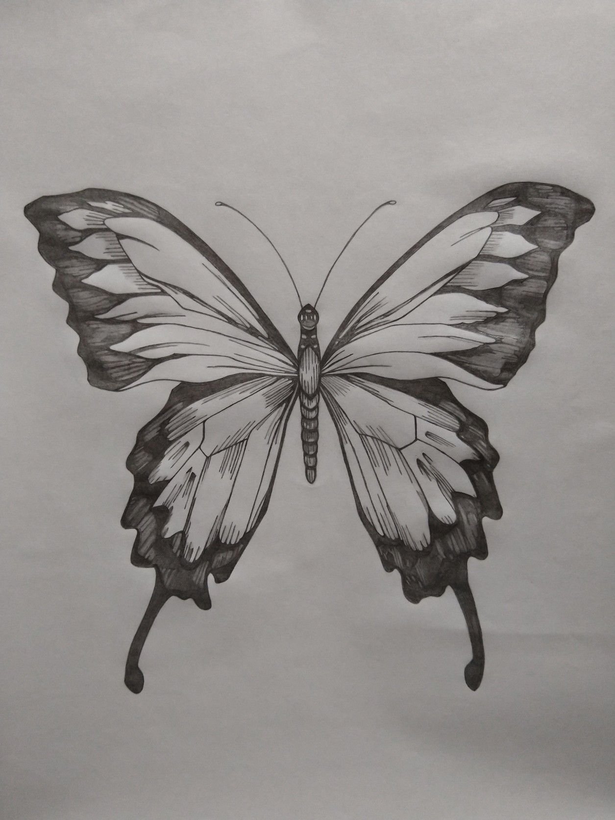Stunning Sketch Art Design 2