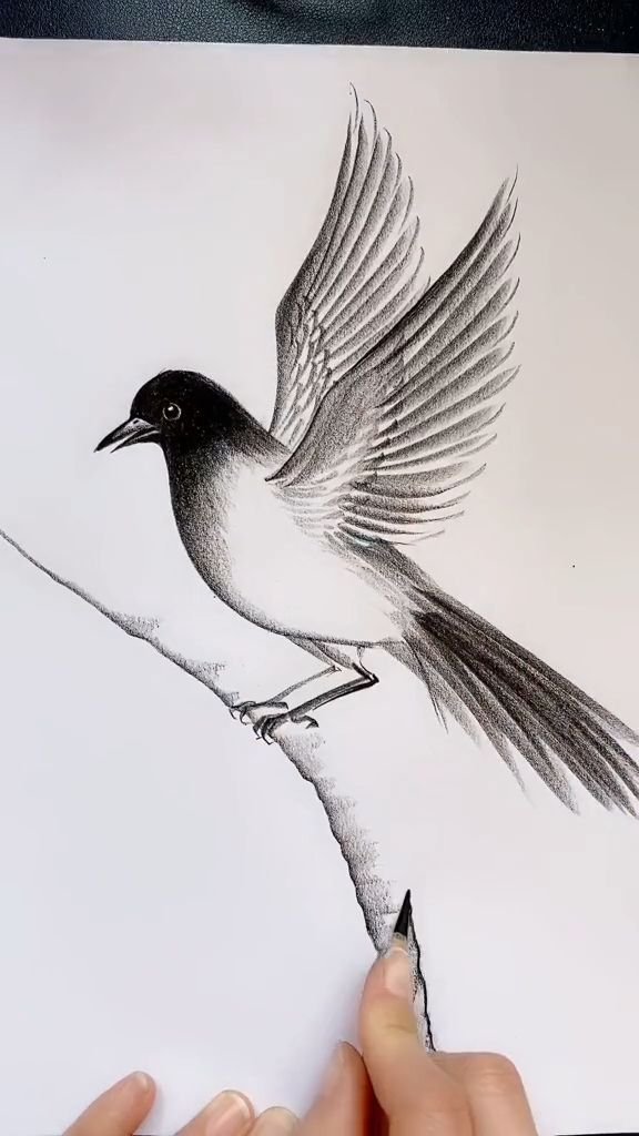 Stunning Sketch Art Design 2