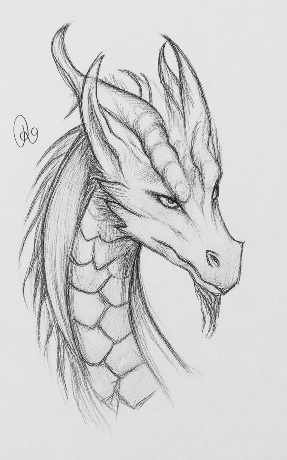 Detailed Pencil Art Drawing Design