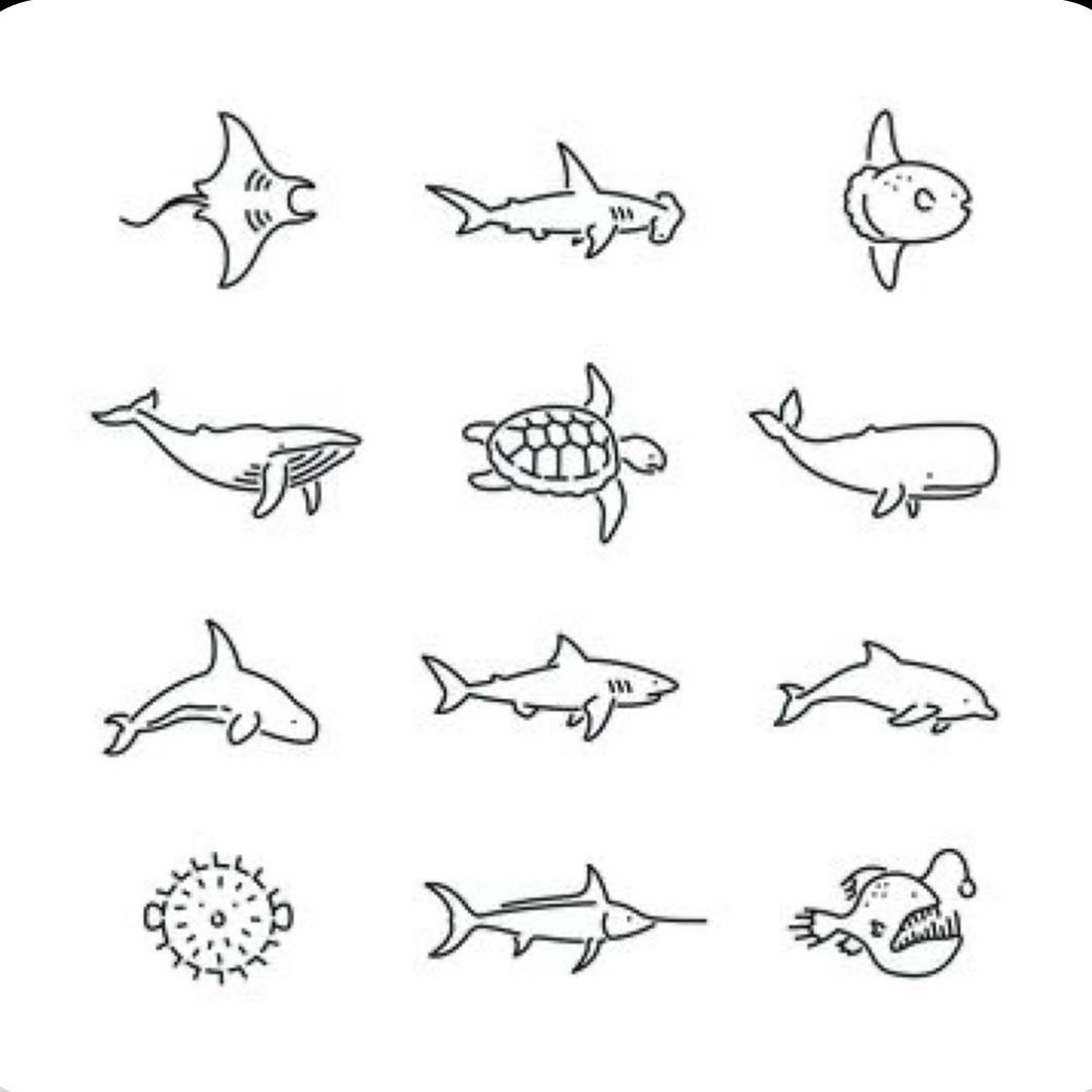 Modern Illustration Drawing Design