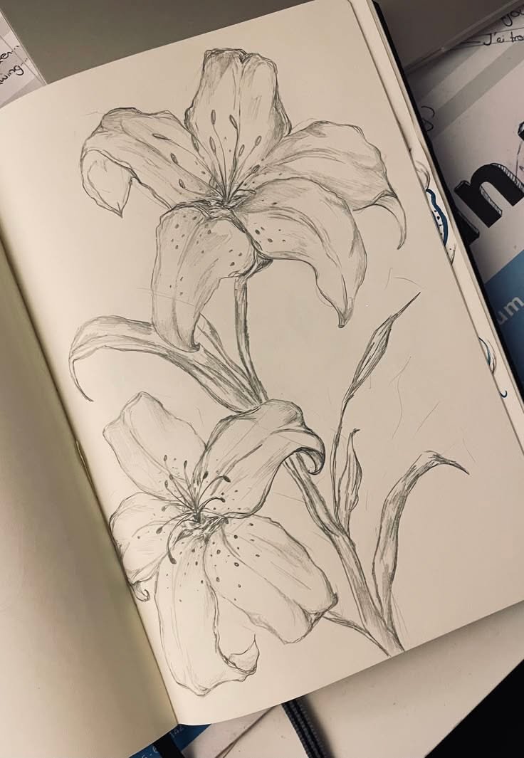 Modern Pencil Art Drawing Ideas 4