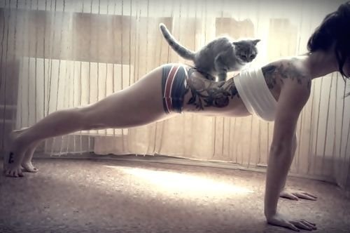 Fitness Progress Journey Inspiration 5