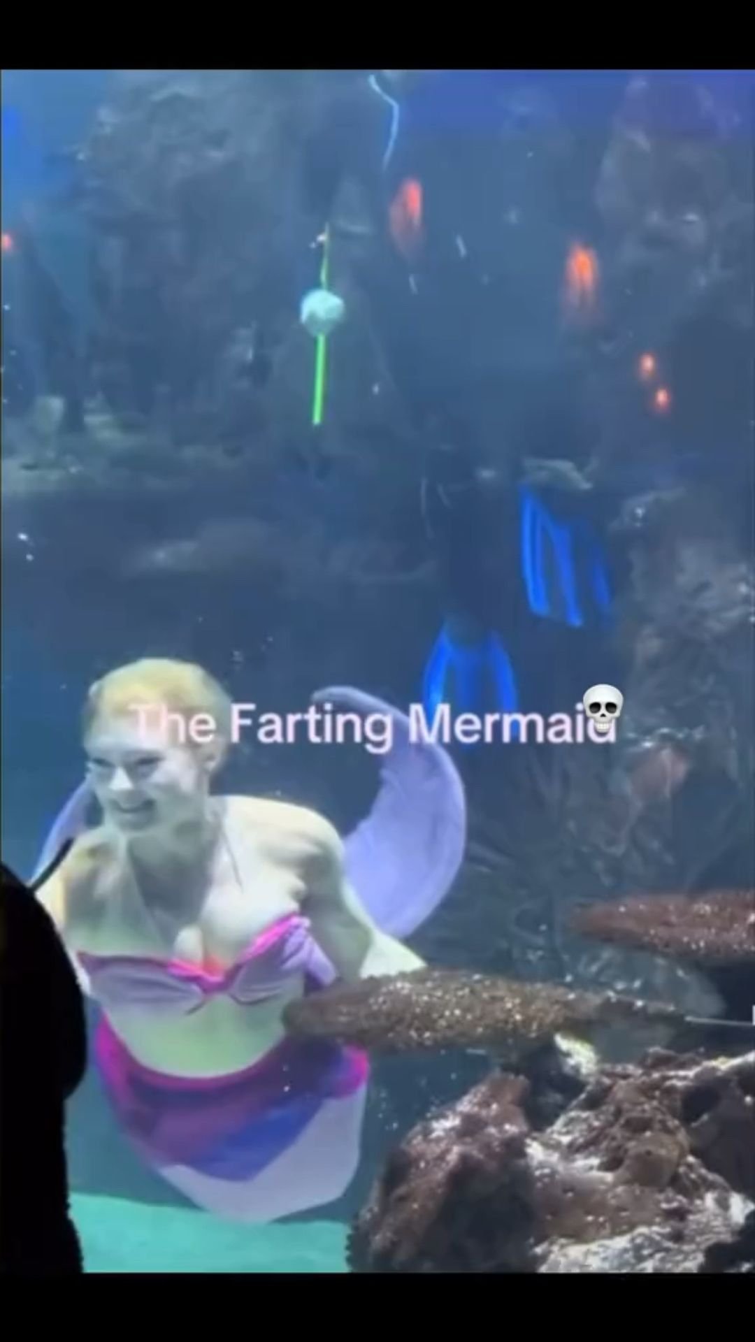 This LOL Moment Is Going Viral