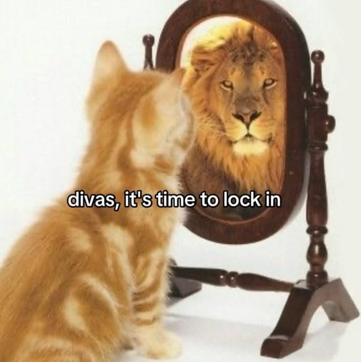 Unreal LOL Moment for Daily Inspiration