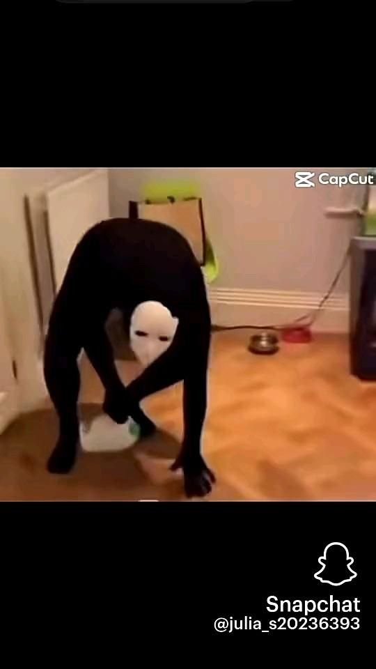 Ridiculous Meme Material You'll Love