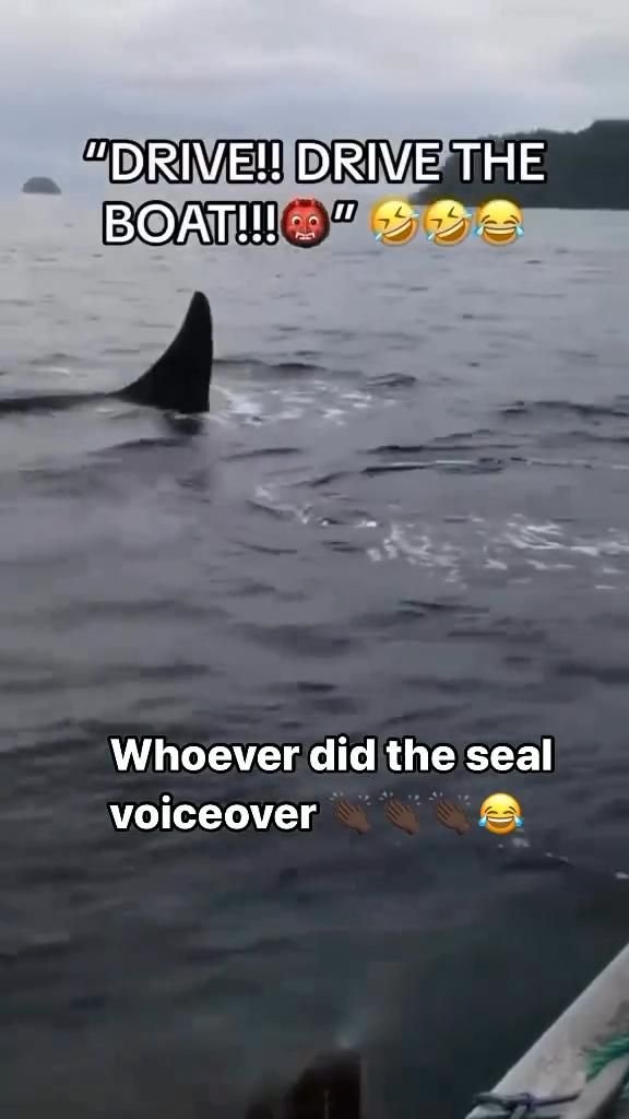 Epic Fail Perfect for Your Feed