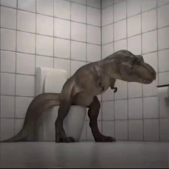 You Need to See This Hilarious Moment