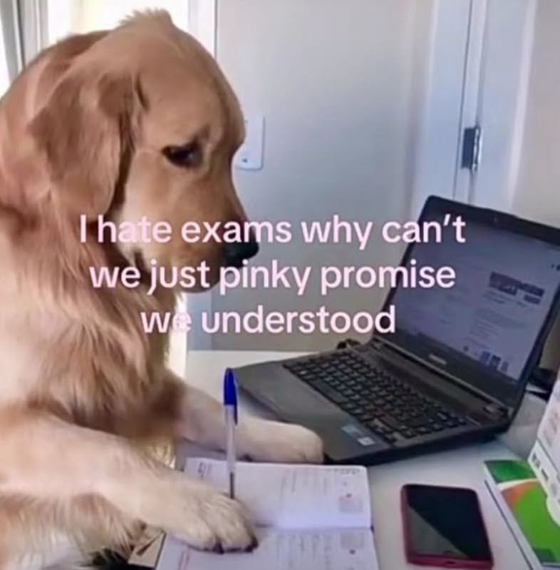 Viral Comedy Perfect for Your Feed
