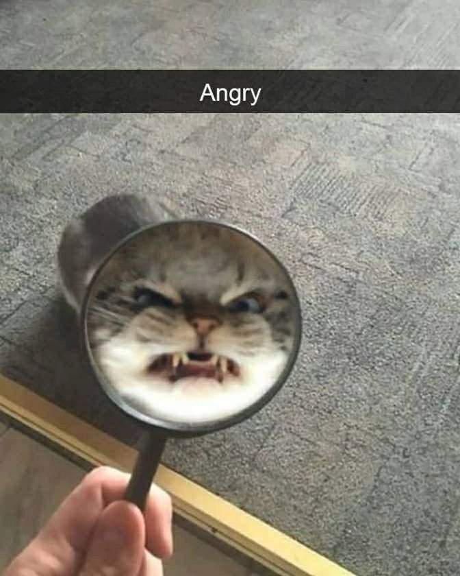 Savage Comedy Gold for Daily Inspiration