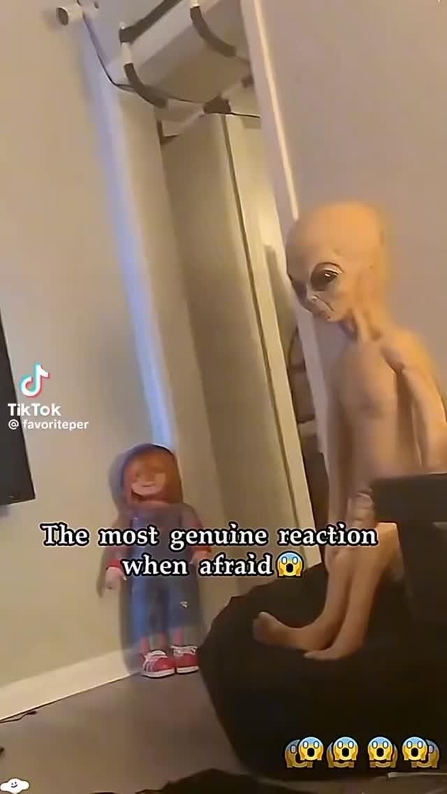 Obsessed With This Funny Reaction