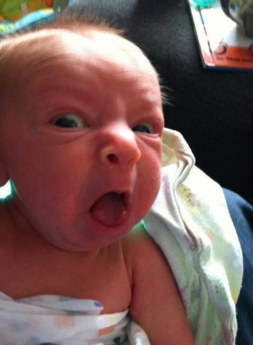 Meme Material | Funny