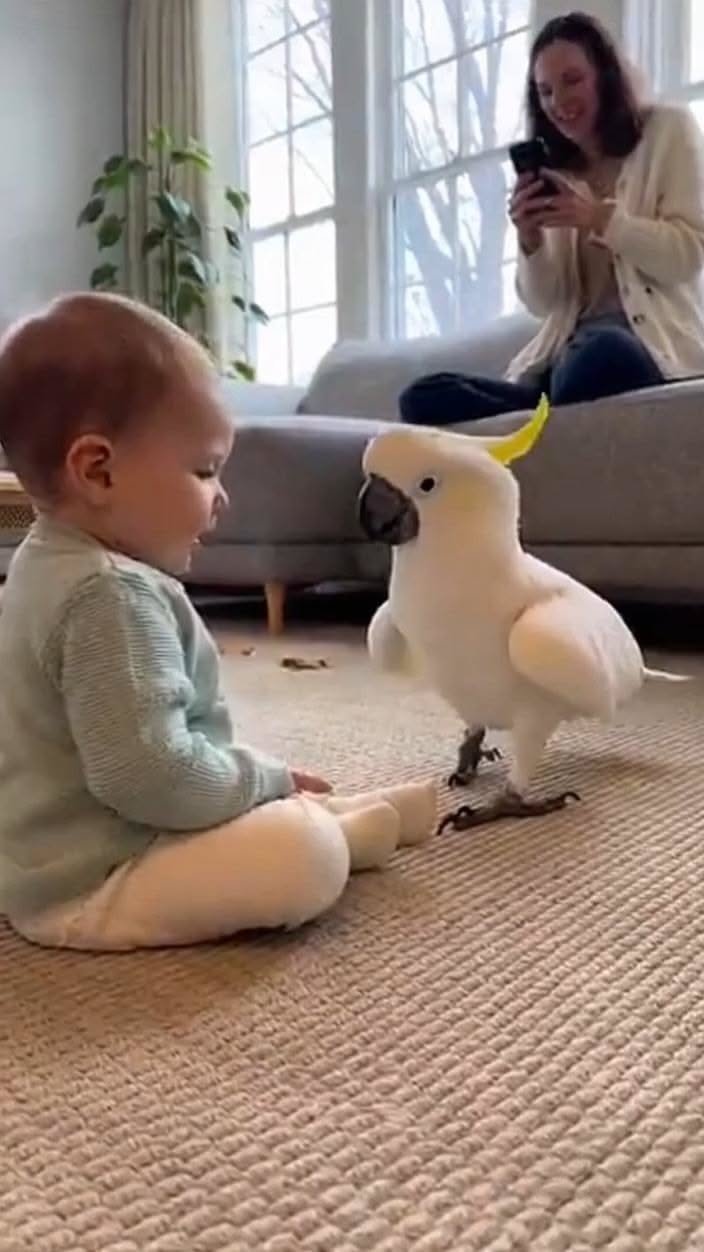 This Funny Reaction Is Going Viral