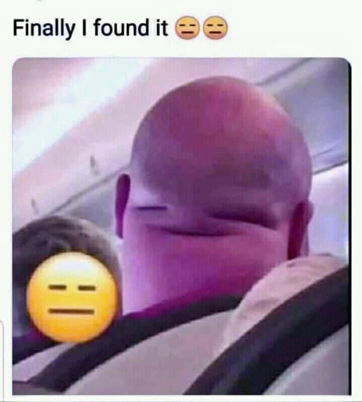 Hilarious Moment Perfect for Your Feed