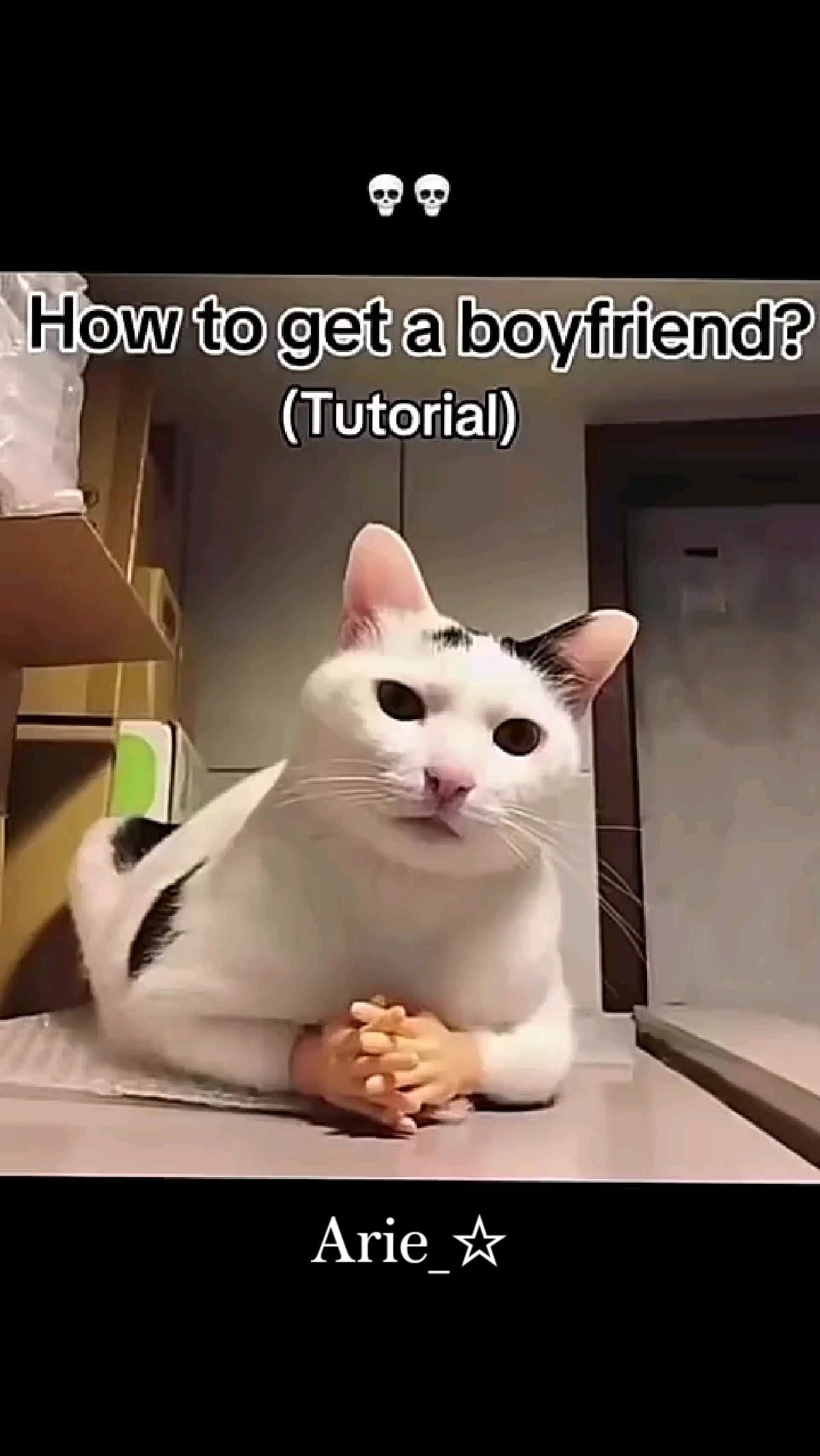 Hilarious Moment Perfect for Your Feed
