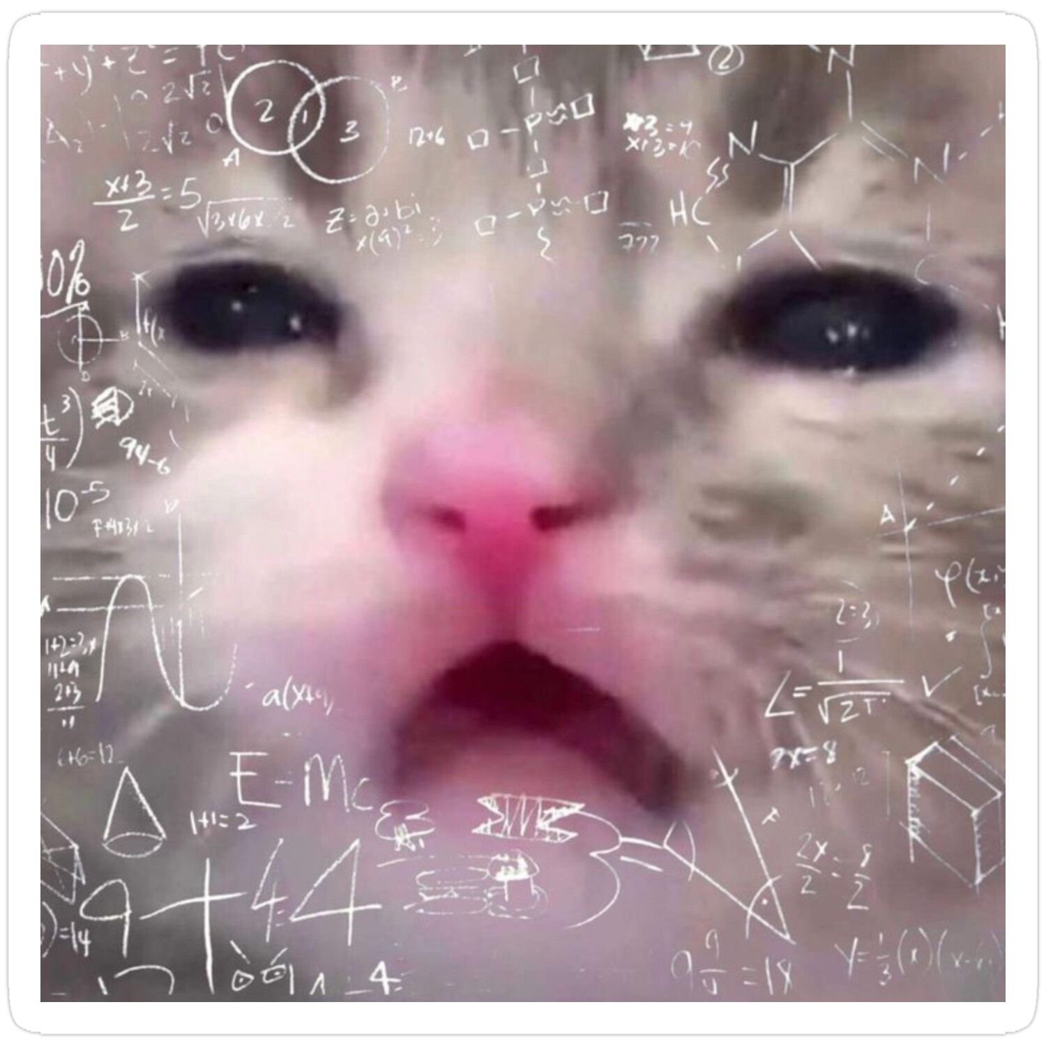 Meme Material That Will Inspire You