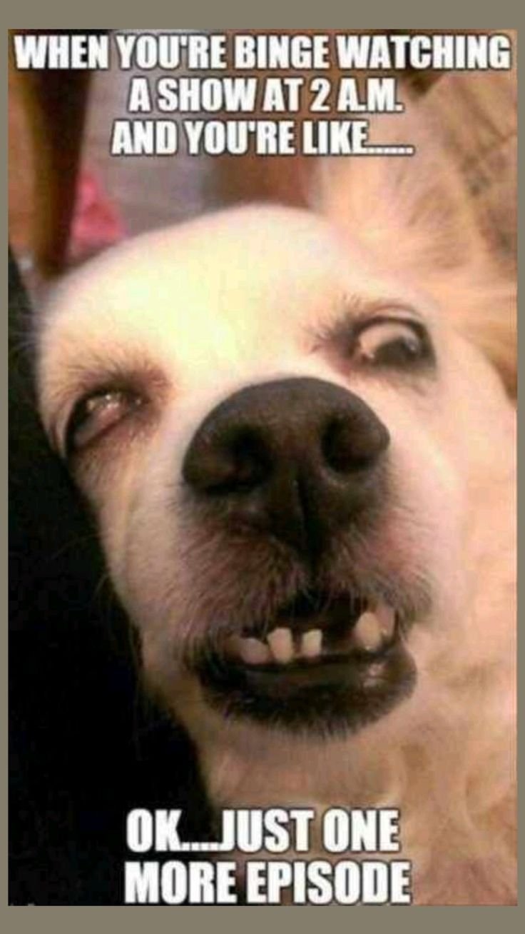 Viral Comedy | Funny