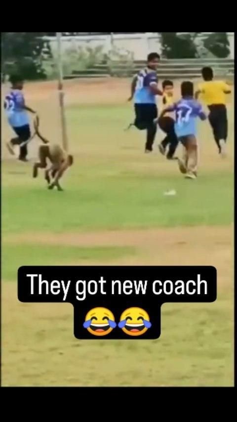 You Need to See This Comedy Skit