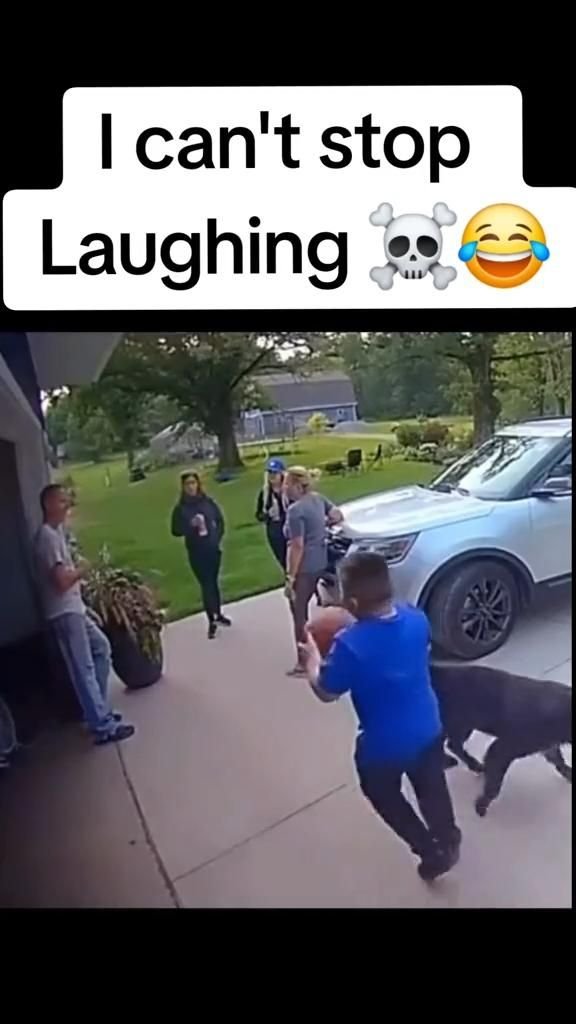 Can't Get Over This Hilarious Moment