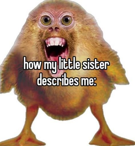 Ridiculous Viral Comedy for Daily Inspiration