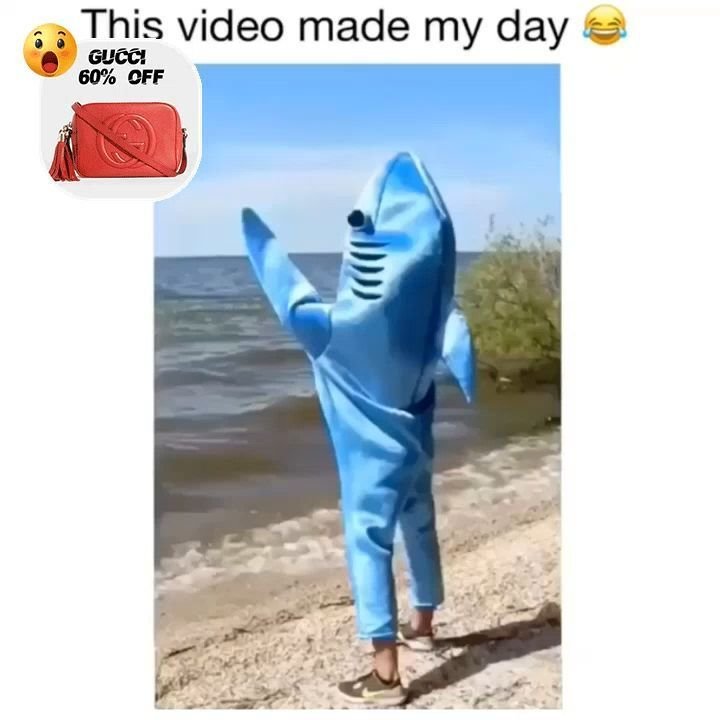 Absurd Funny Reaction for Daily Inspiration