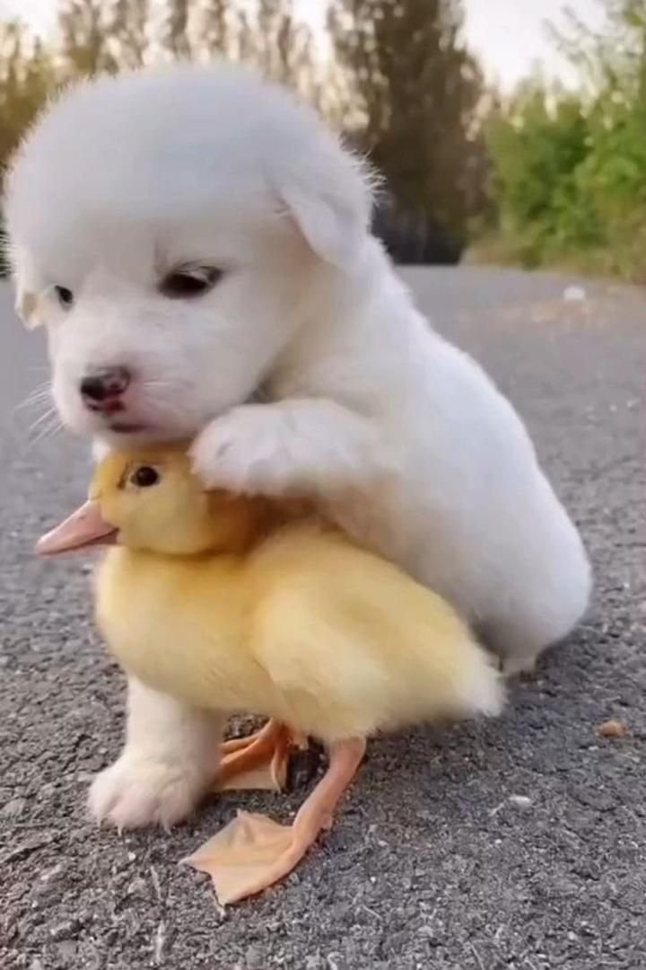 Funny Reaction Perfect for Your Feed