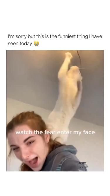 Hilarious Funny Situation for Daily Inspiration