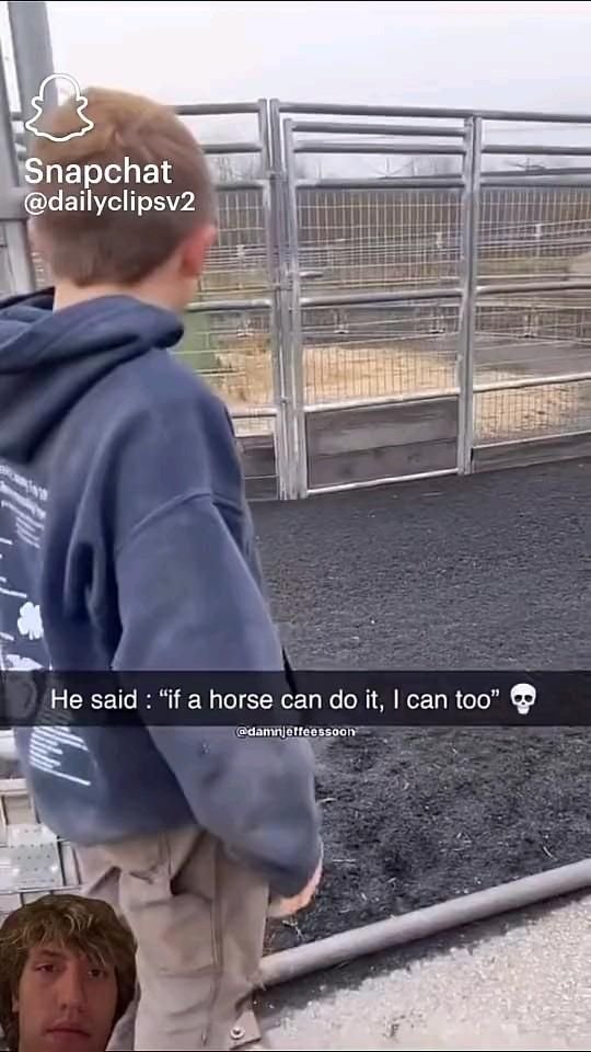 Meme Material Perfect for Your Feed