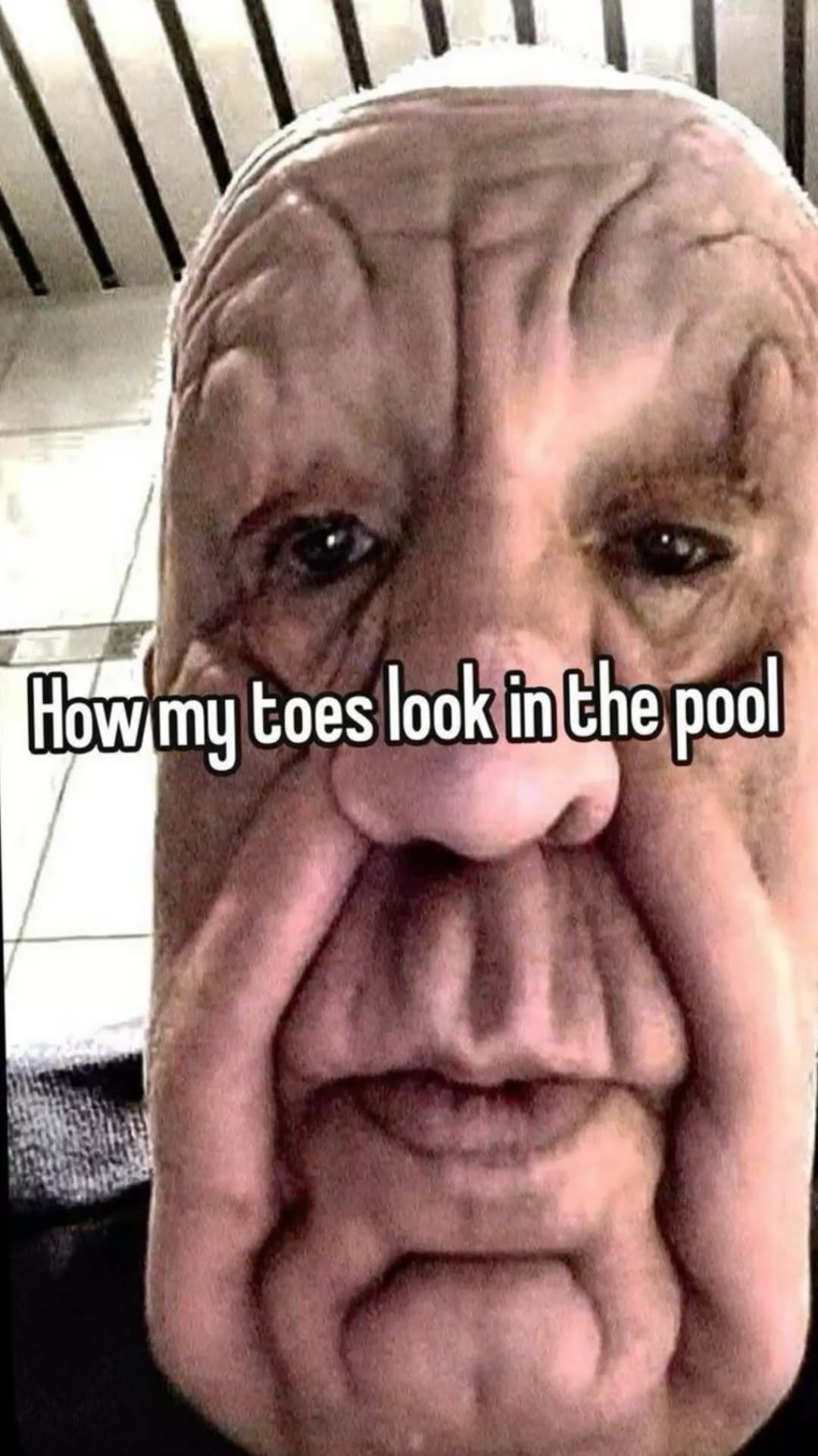 You Need to See This Funny Situation