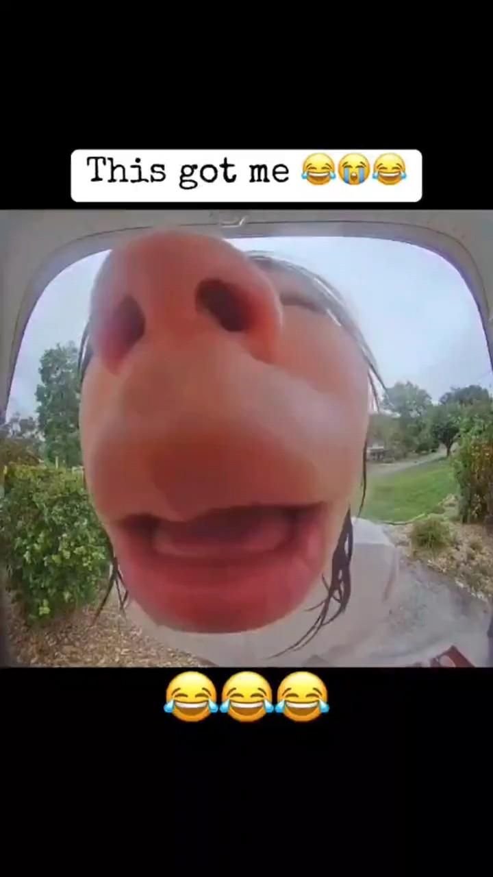 Funny Prank Perfect for Your Feed