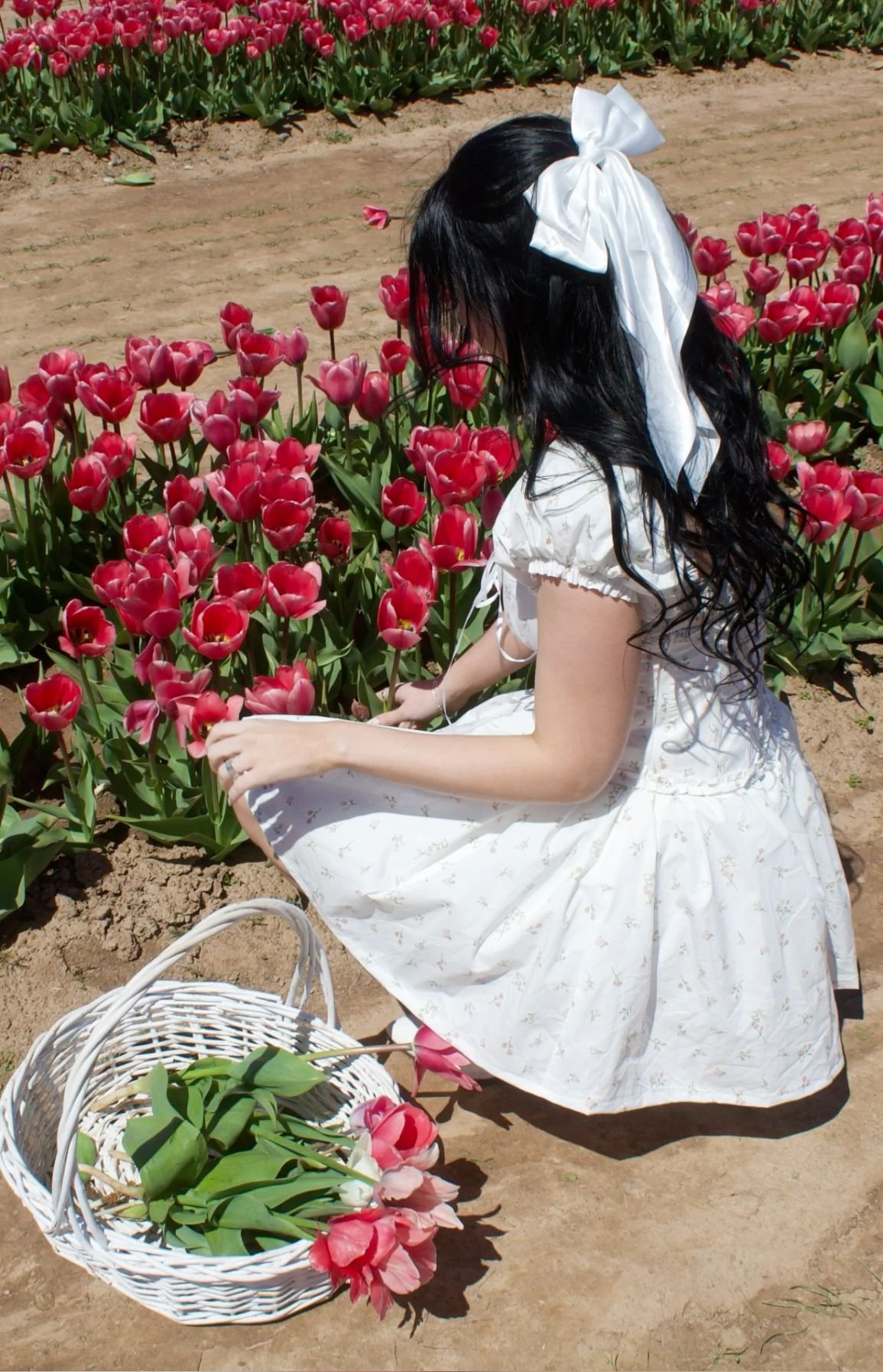 Romantic Coquette Girl Style 4