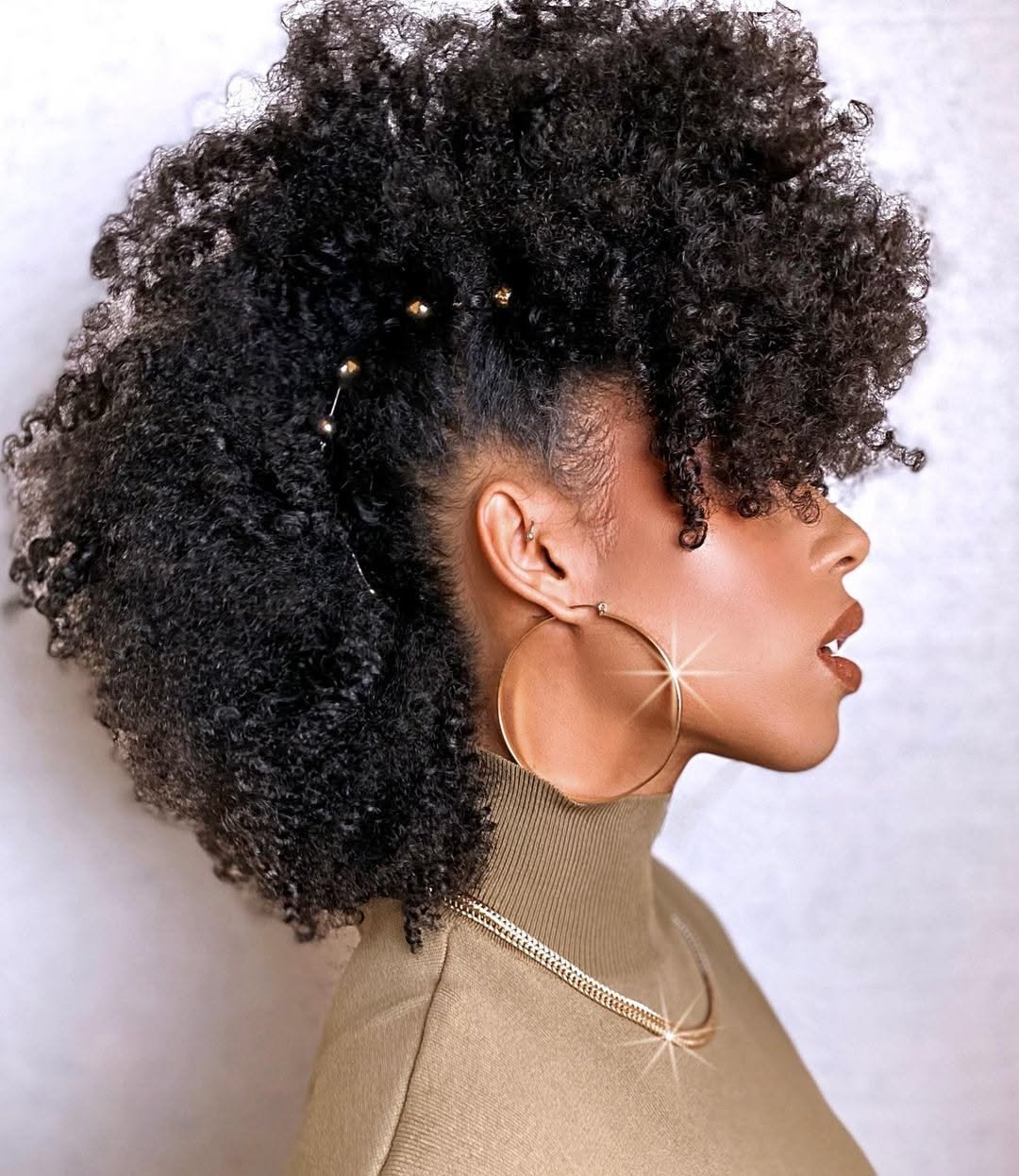 Beautiful Coily Natural Hair Style
