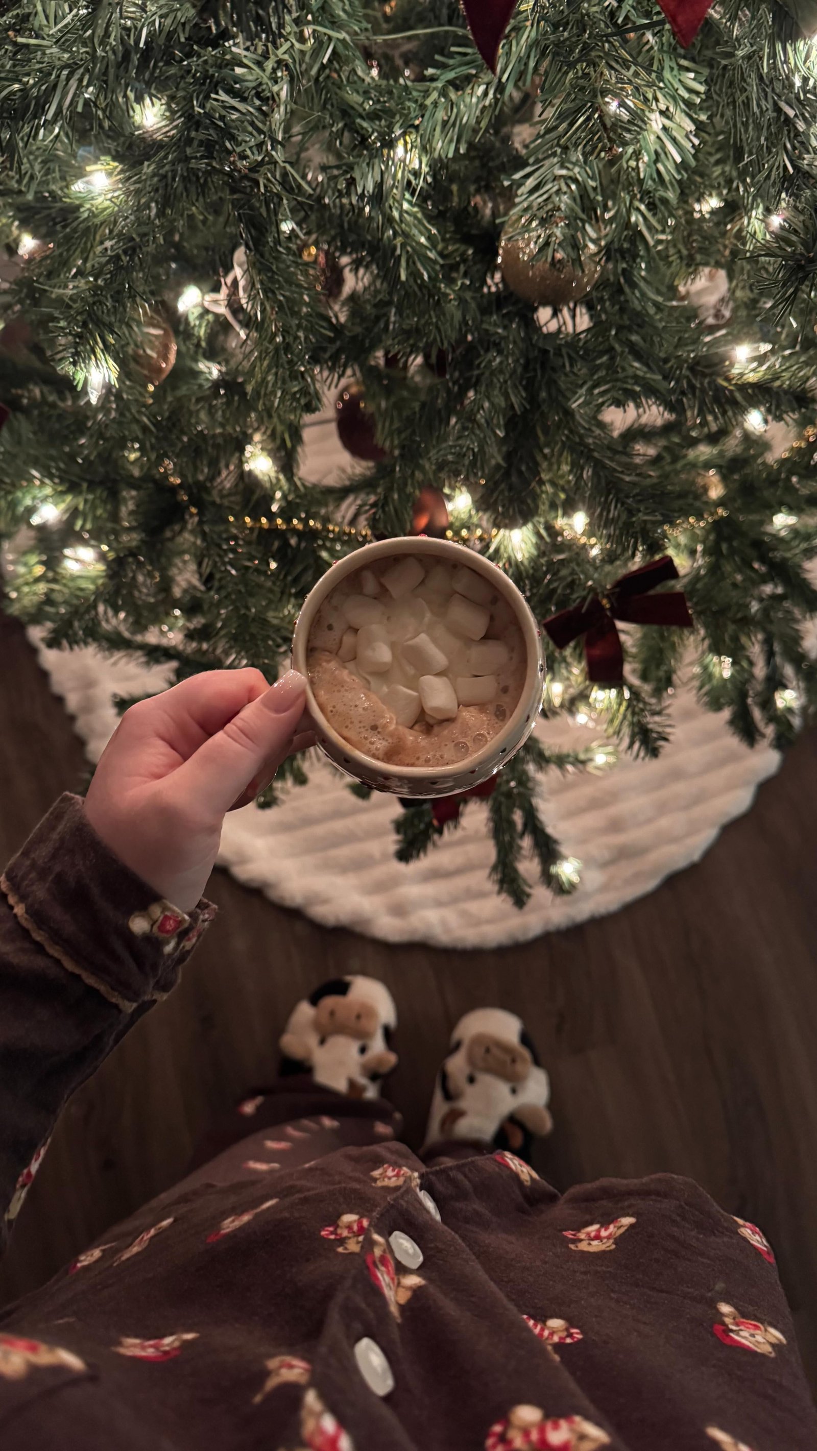 Beautiful Christmas Season Aesthetic 4