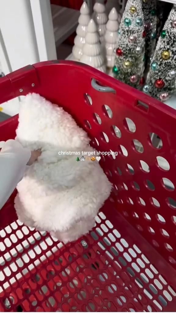 Cozy Christmas Holiday Inspiration 4