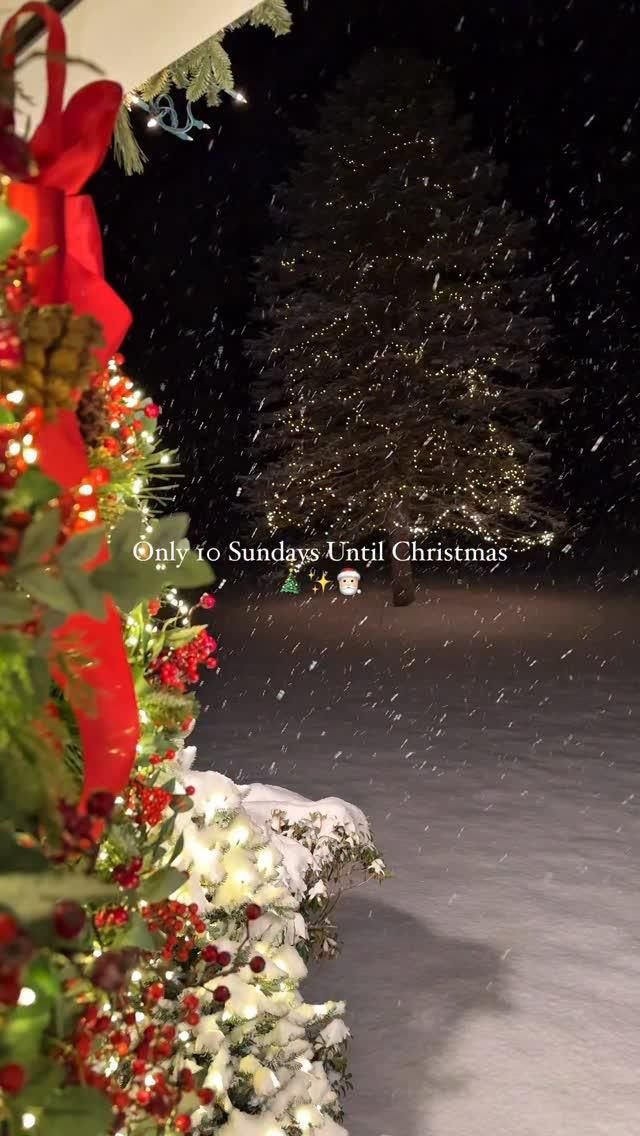 Festive Christmas | Holiday