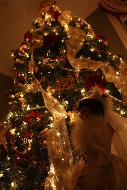 Christmas Magic | Holiday