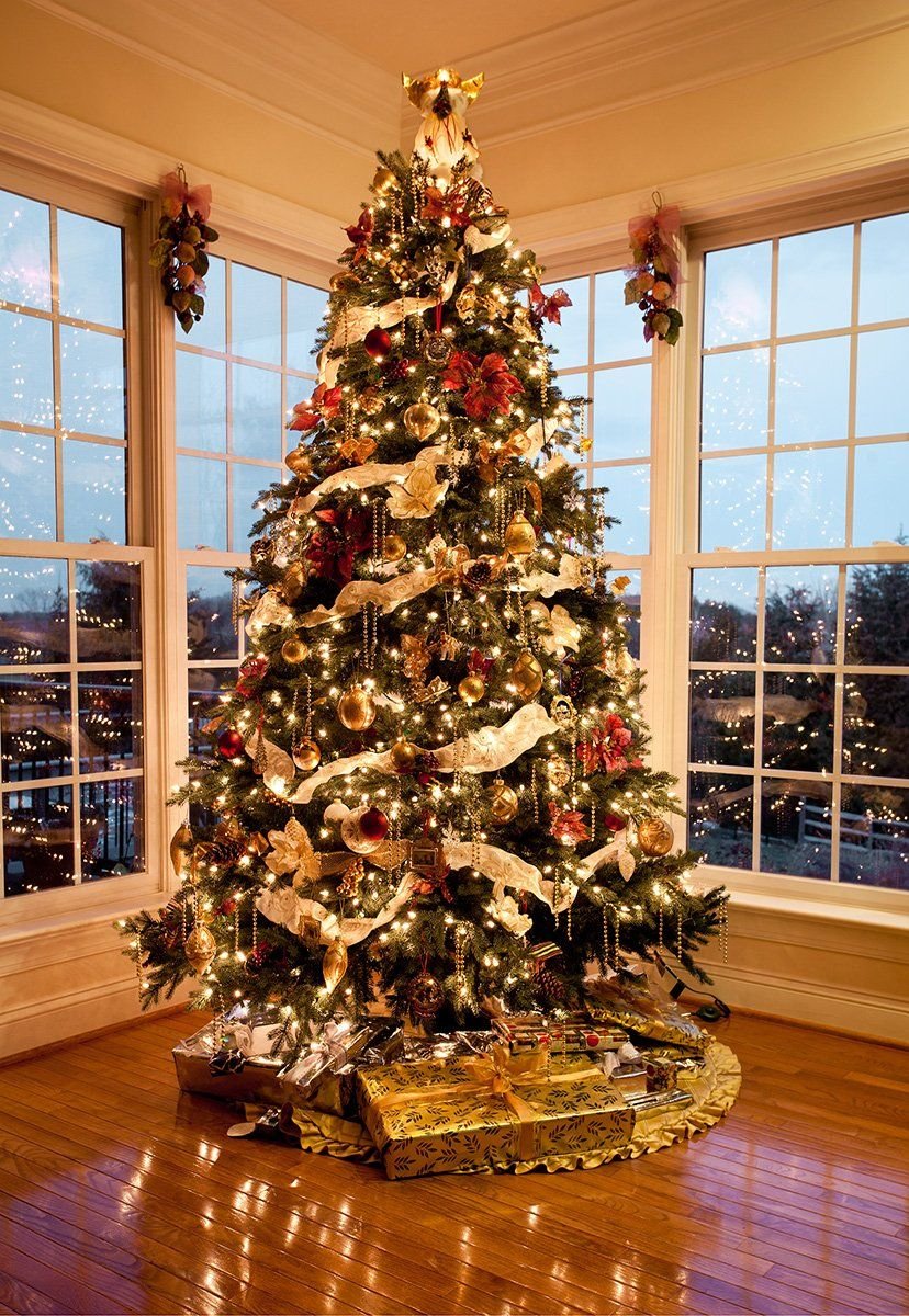 Festive Christmas | Holiday