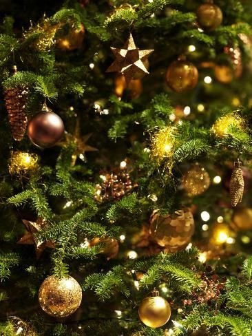 You Need to See This Festive Christmas