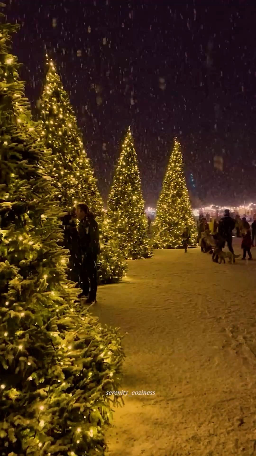 Christmas Decor — Must See