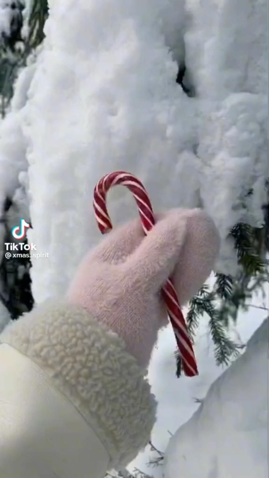 This Christmas Magic Is Everything