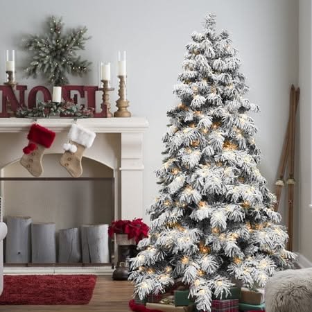 Warm Christmas Spirit for Daily Inspiration
