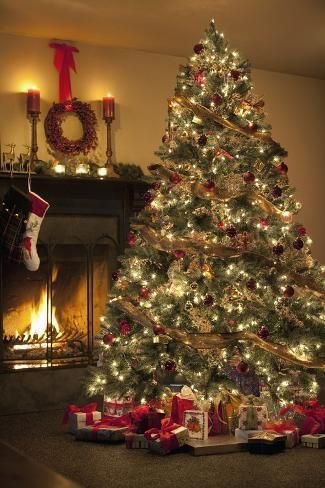 Saving This Christmas Magic for Later