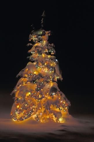This Christmas Decor Is Going Viral