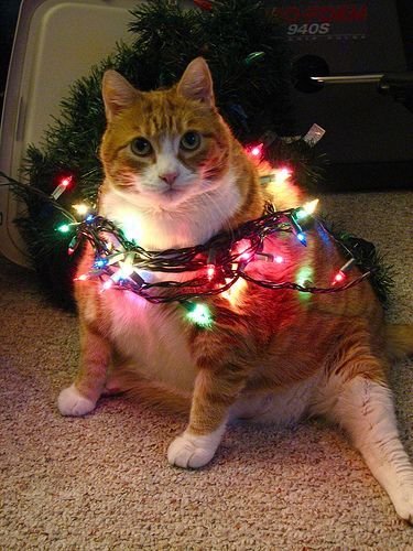Sparkling Festive Christmas | Holiday Inspiration
