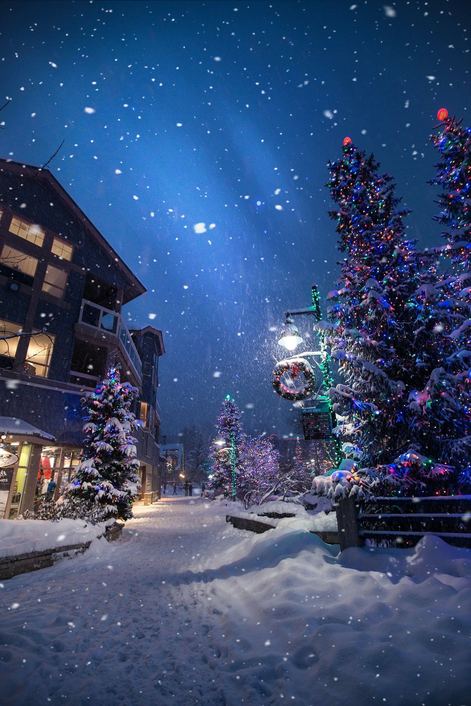 You Need to See This Holiday Setup
