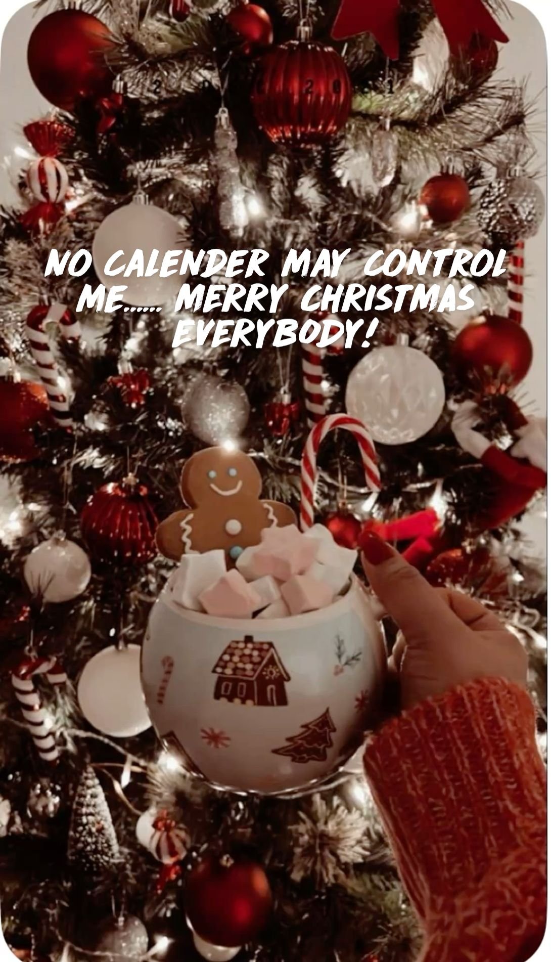 This Christmas Magic Is Going Viral